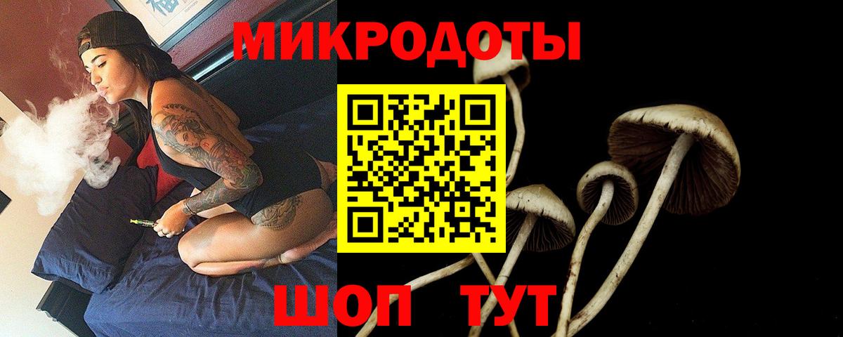 где можно купить наркотик  Галлюциногенные грибы GOLDEN TEACHER  Вход с VPN  Сибай 
