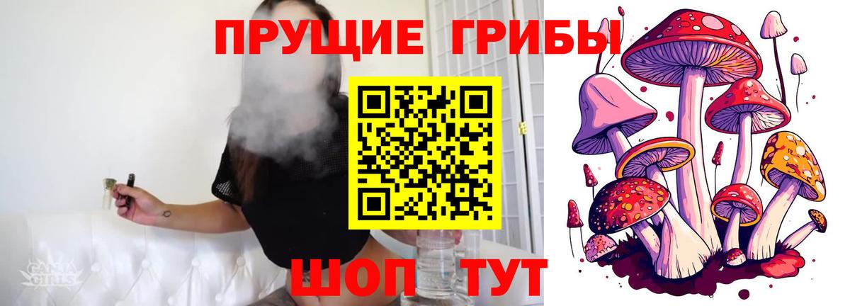 Псилоцибиновые грибы мицелий Сибай